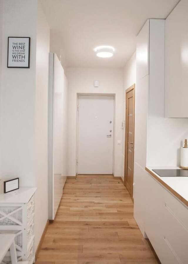 Апартаменты NEW scandinavian style apartment in Nida Нида-16